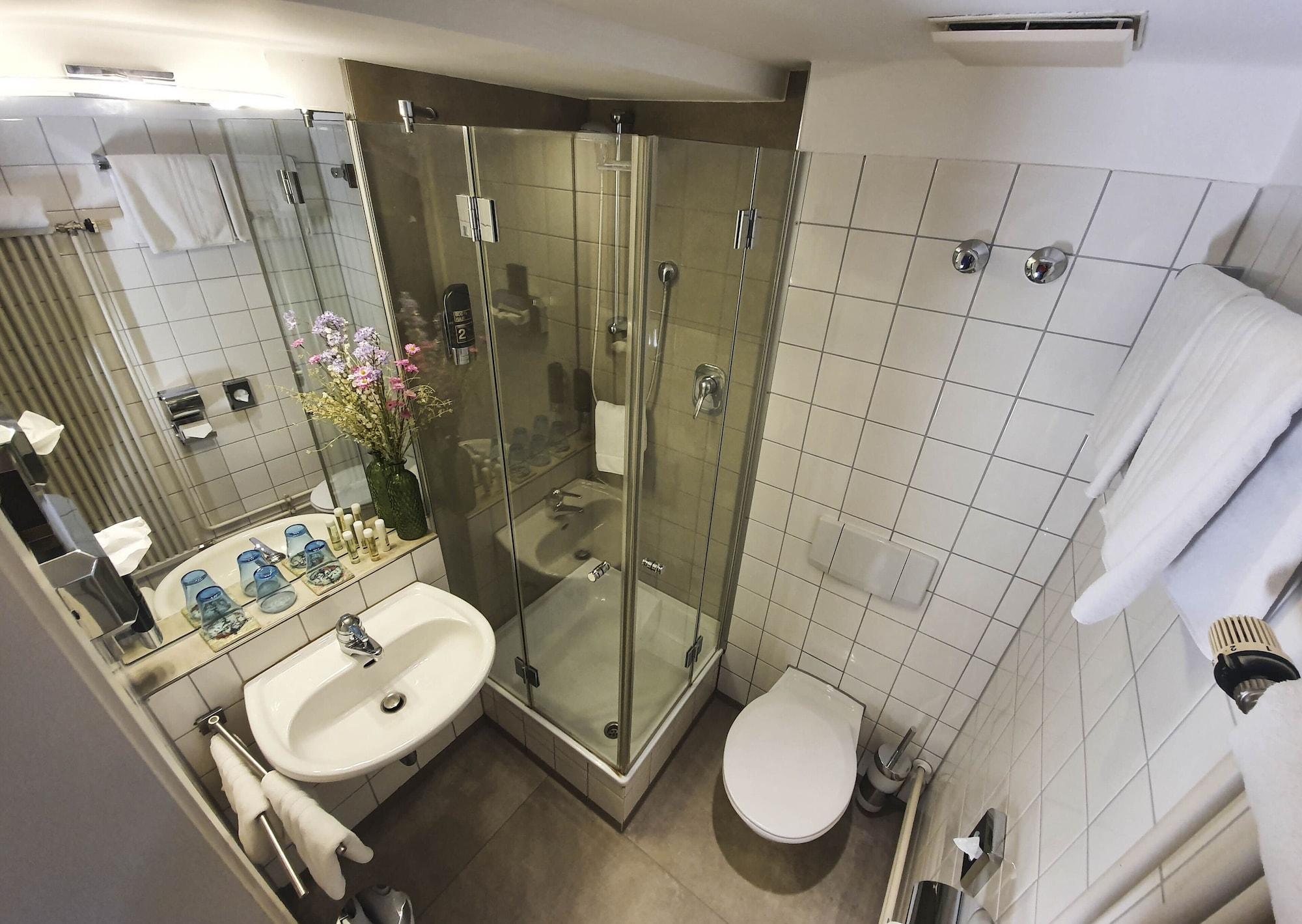 Goldener Falke Hotel 3*